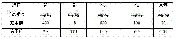 Bacillus subtilis RB and application thereof