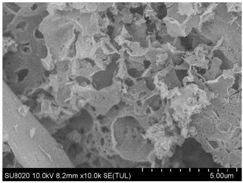 Carbon-selenium composite material, preparation method thereof, and application thereof in lithium-selenium battery