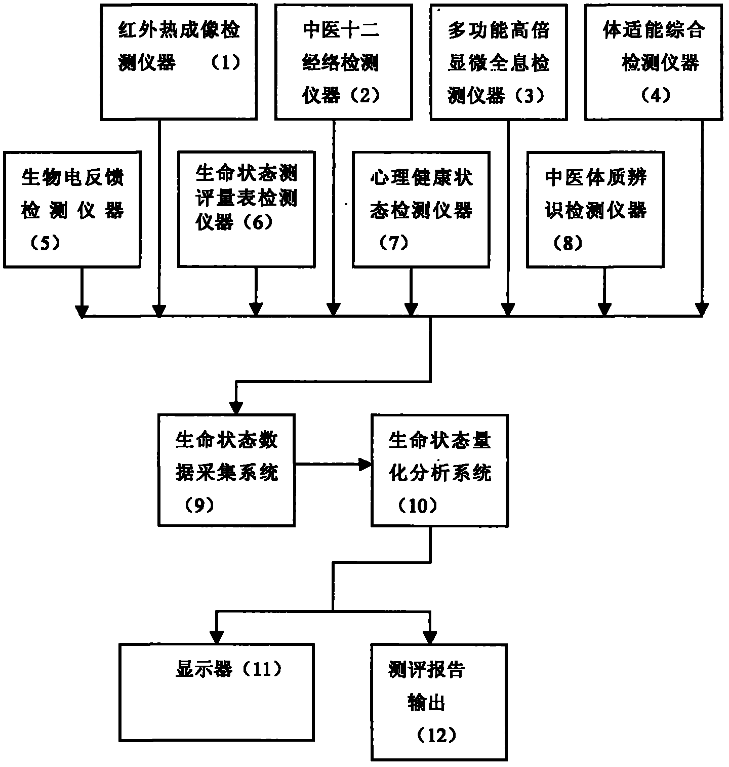 Creative integrated evaluation system for life and health states