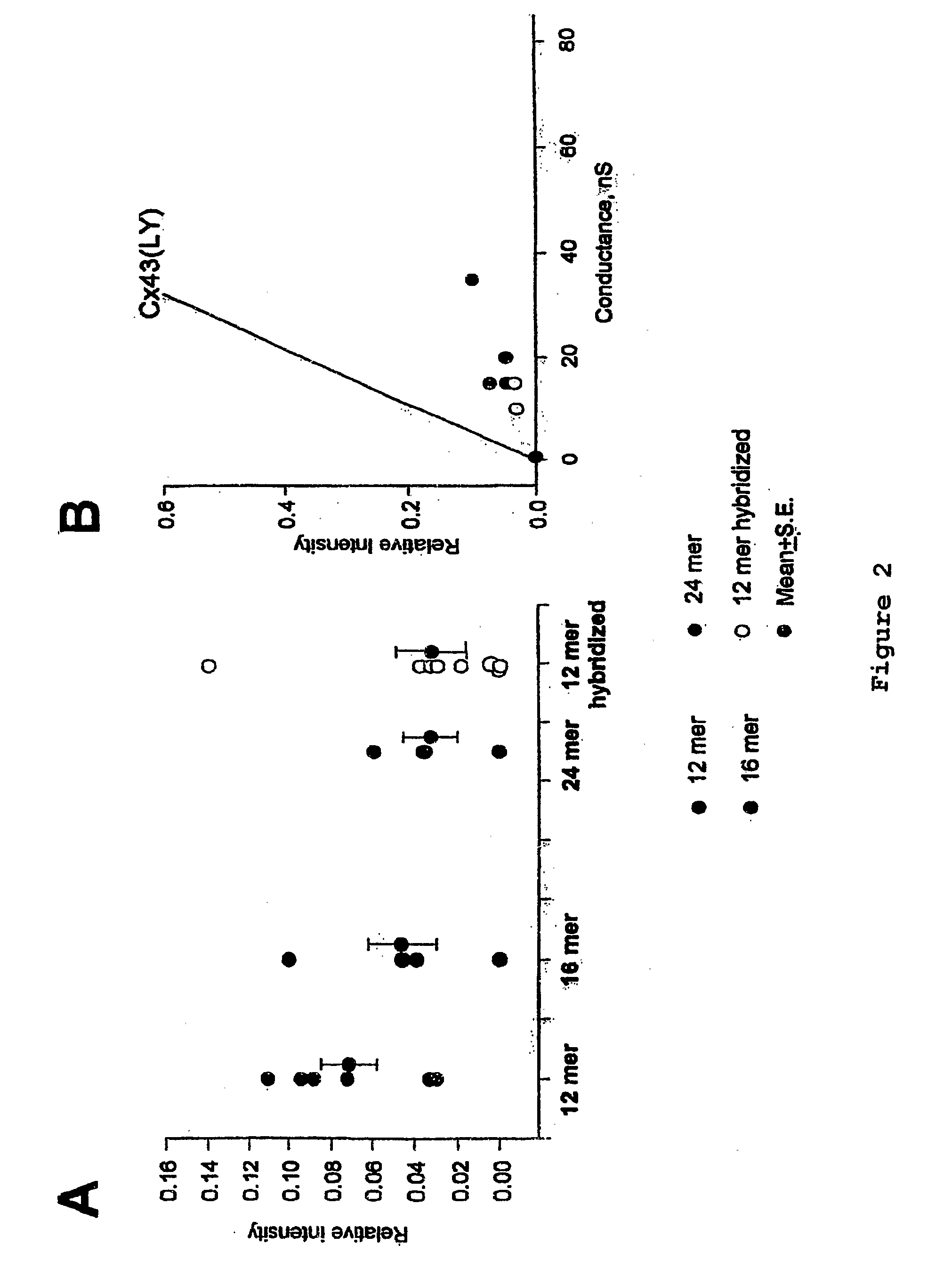 Delivery of Dna or Rna Via Gap Junctions from Host Cells to Target Cells and a Cell-Based Delivery System for Antisense or siRna