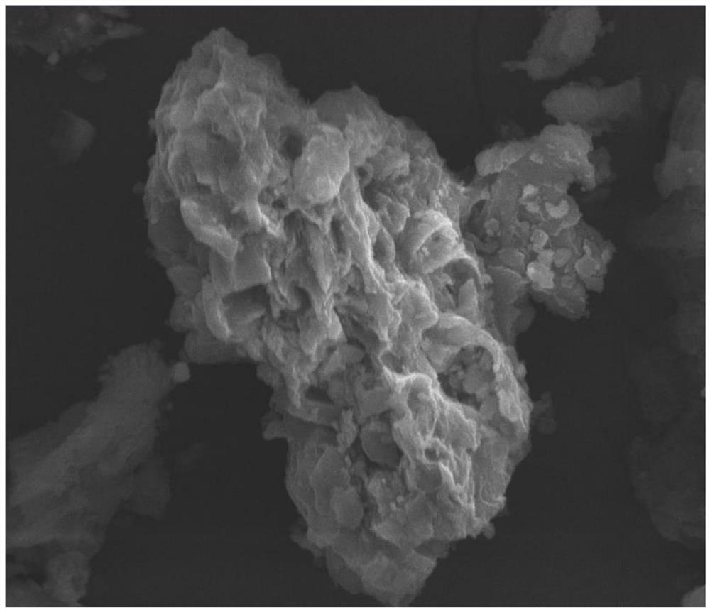 Preparation method for co-production of biochar from malus micromalus makino high-calcium beverage