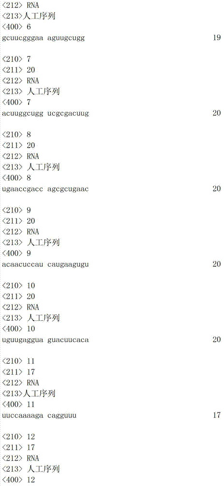 Chitosan nano particle, biological pesticide preparation for controlling beet armyworms and preparation method thereof