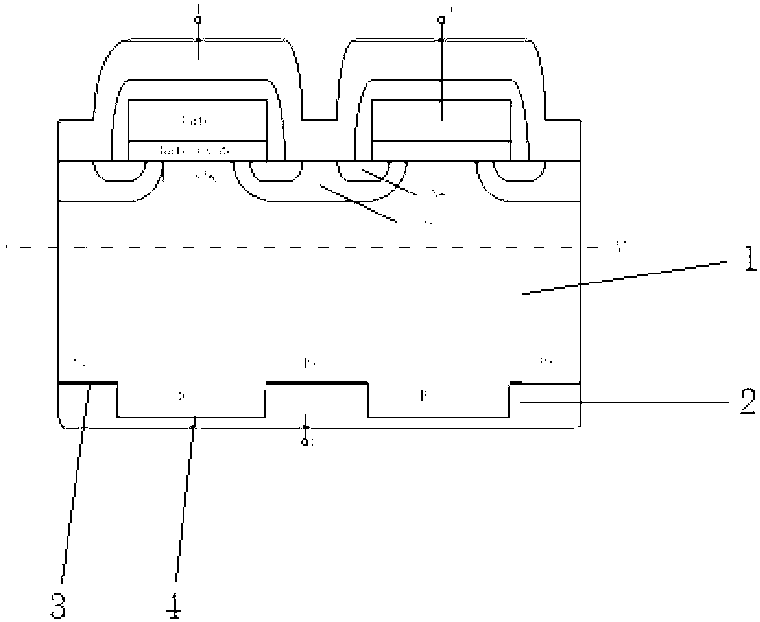 Collector back side structure of insulated gate type bipolar transistor