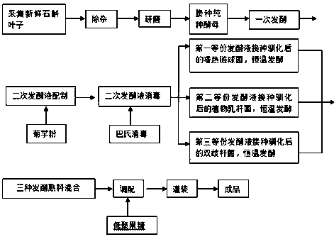 A method for producing probiotic dendrobium enzyme using dendrobium leaves