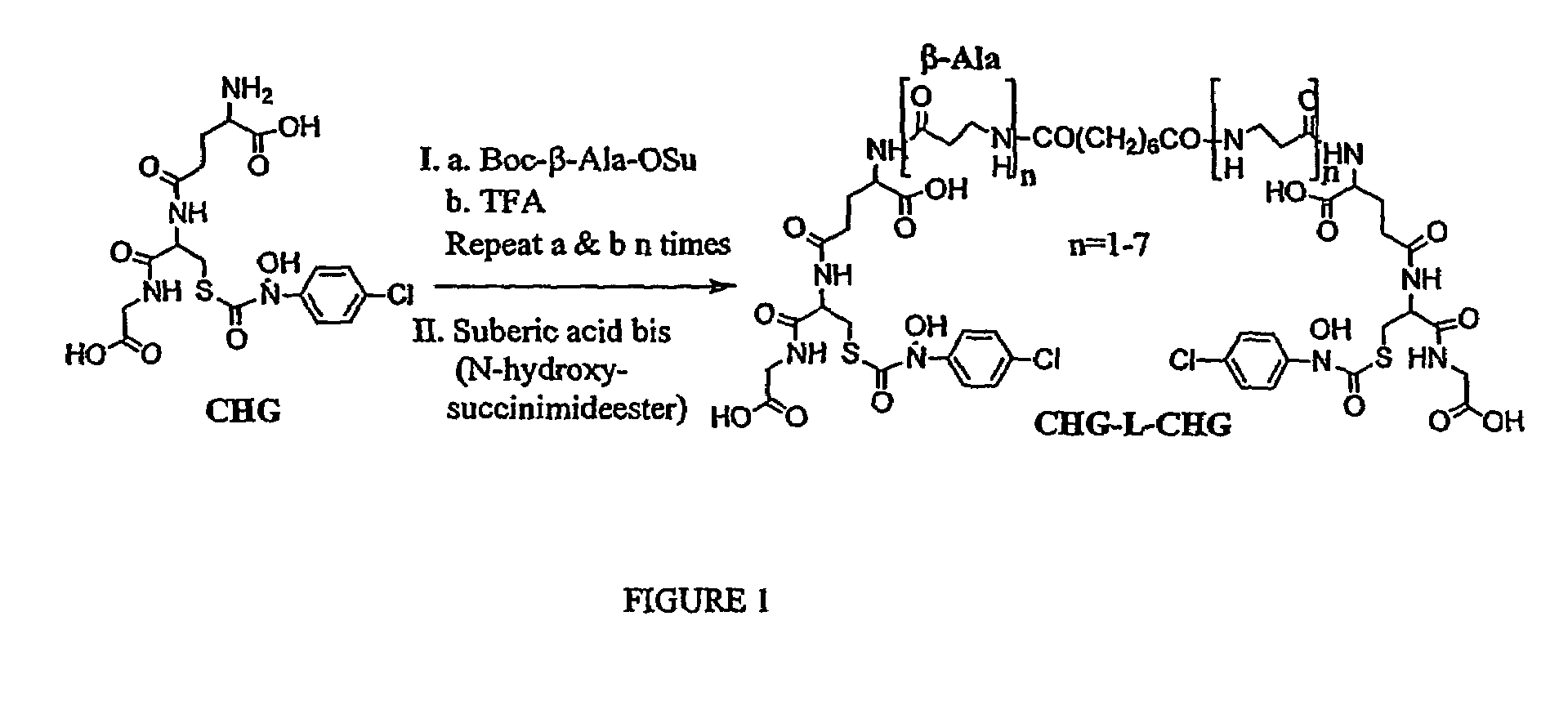 Inactivators and bivalent inhibitors of glyoxalase I and methods of inhibiting tumor growth