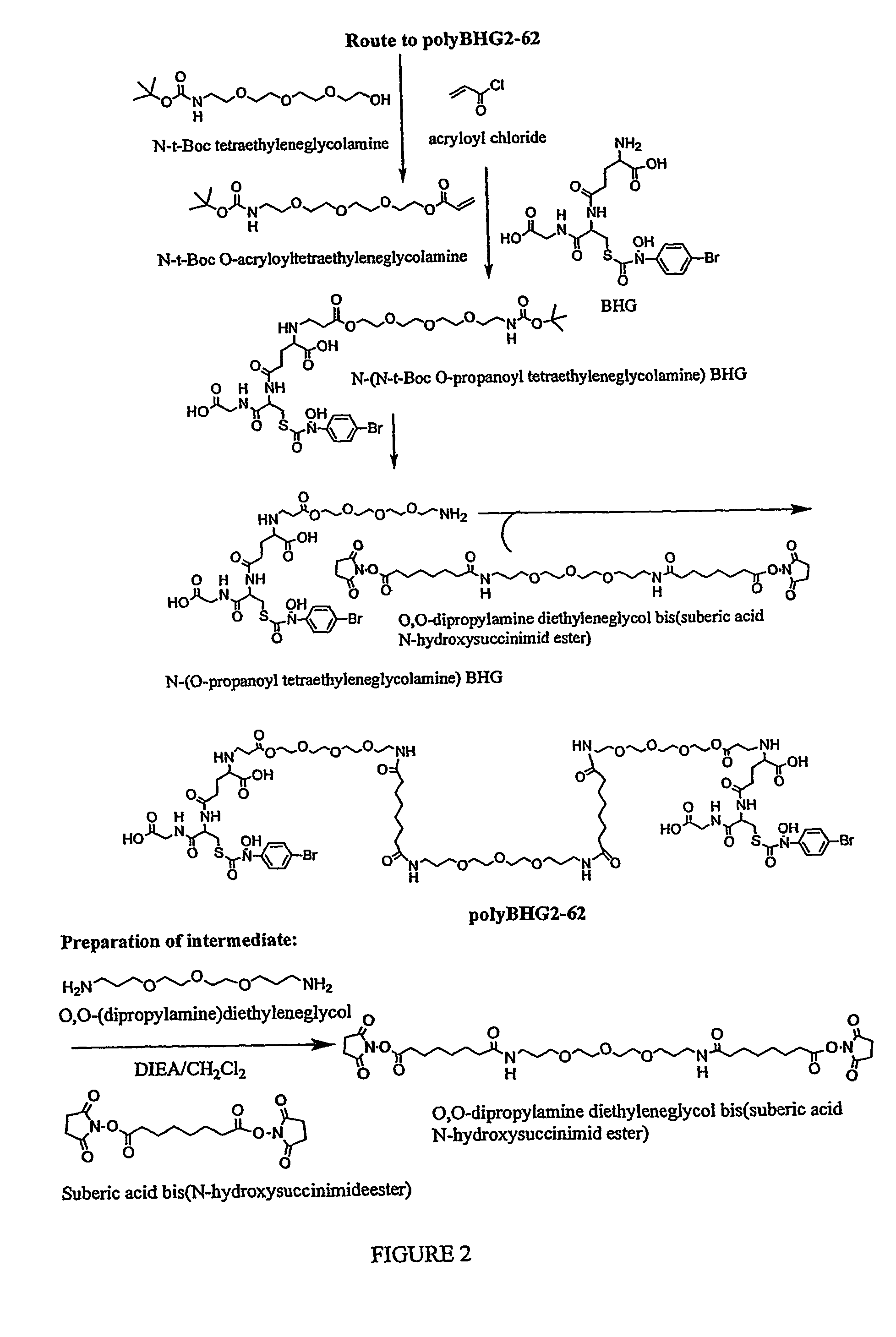 Inactivators and bivalent inhibitors of glyoxalase I and methods of inhibiting tumor growth