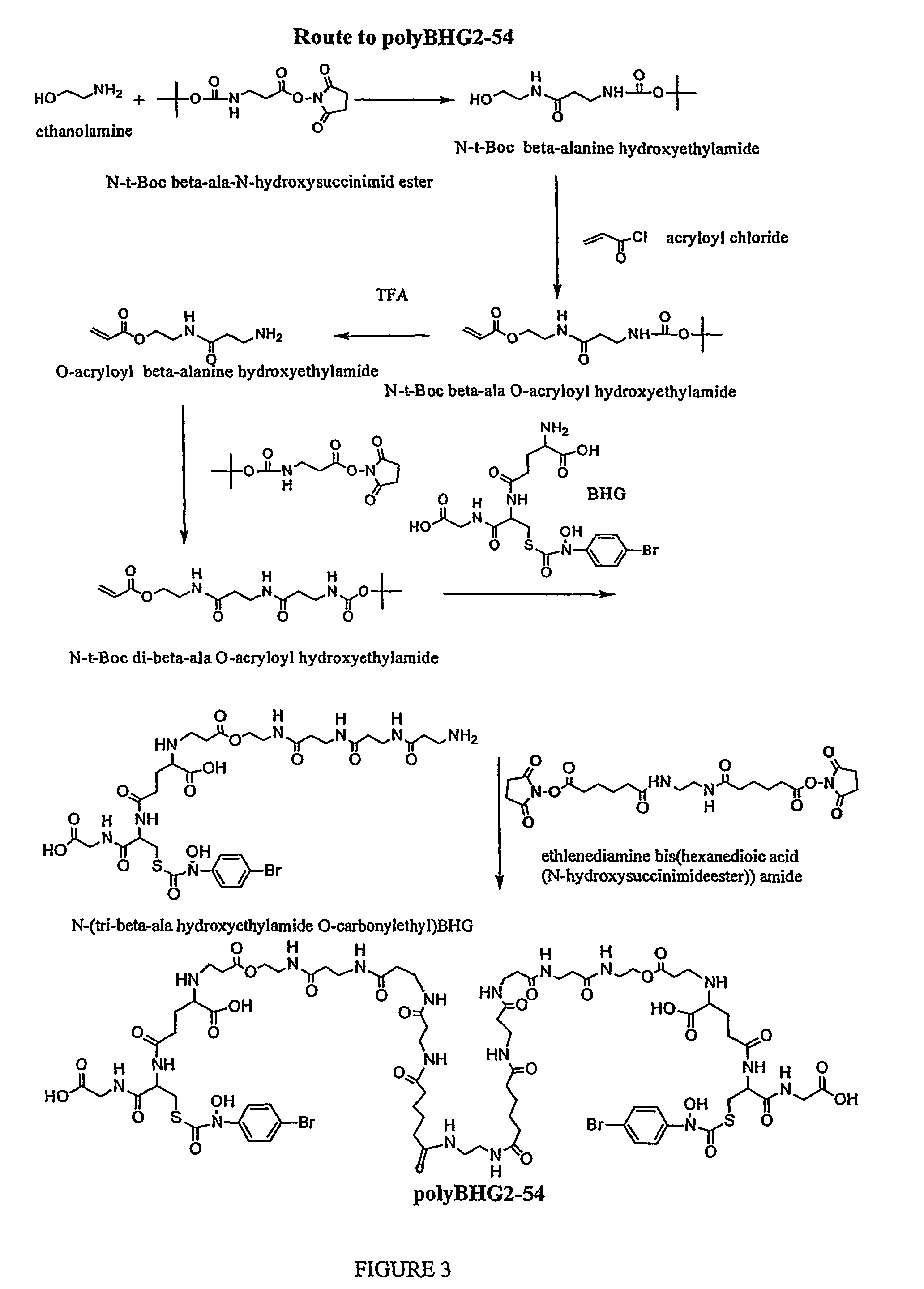 Inactivators and bivalent inhibitors of glyoxalase I and methods of inhibiting tumor growth