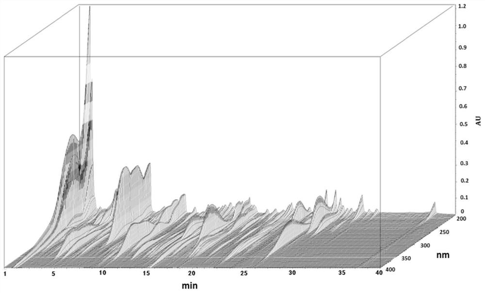 Construction method, detection method and application of fingerprint spectrum of Juanbi decoction composition