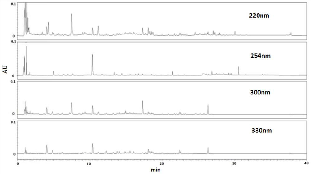 Construction method, detection method and application of fingerprint spectrum of Juanbi decoction composition