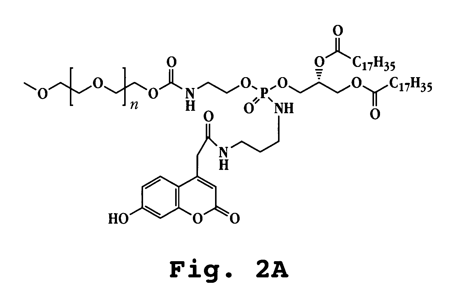 Method of lipid structure preparation