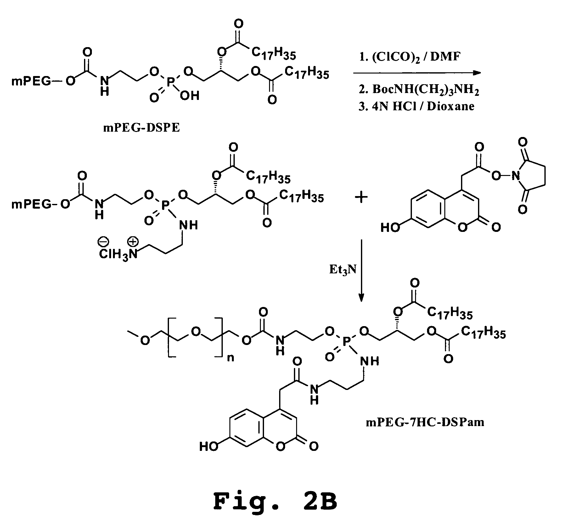 Method of lipid structure preparation