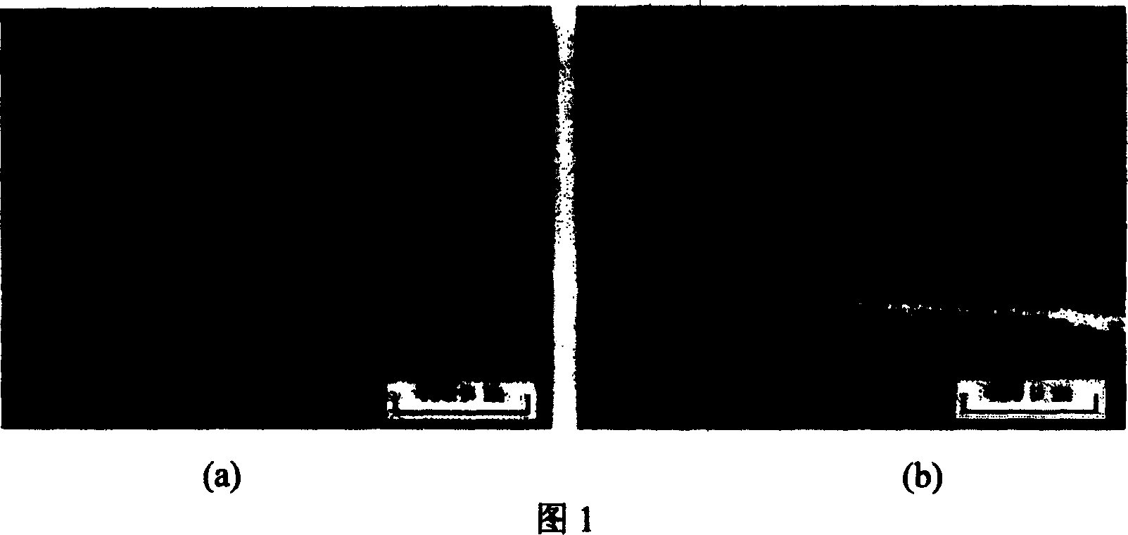 Low temperature rapid phosphorization liquid for drawing wire and phosphorization process