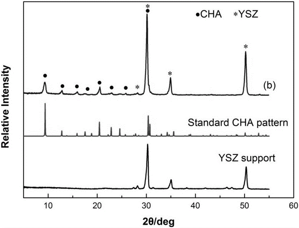 Method for preparing CHA molecular sieve membrane in clean liquid