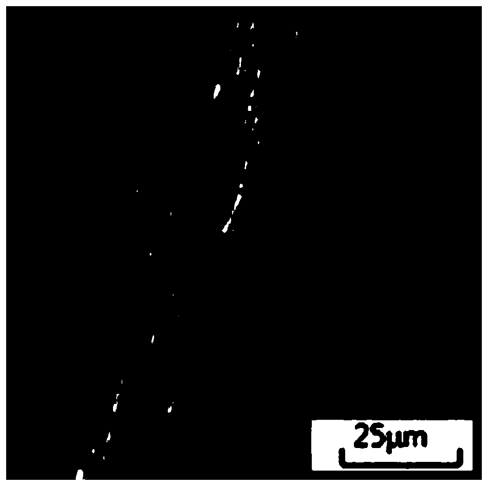 Copper alloy and copper alloy plate and preparation method and application thereof