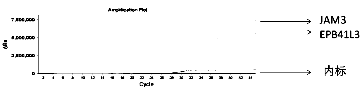 Composition and reagent kit for early cervical cancer detection