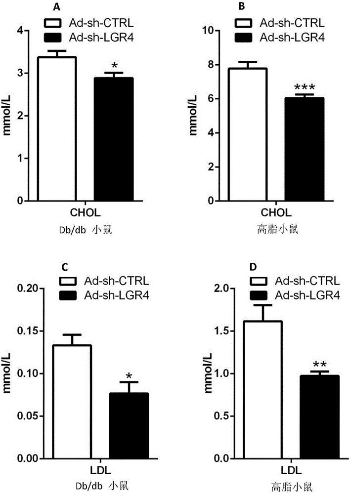 LGR4 gene/protein for screening medicine for treating hypercholesteremia