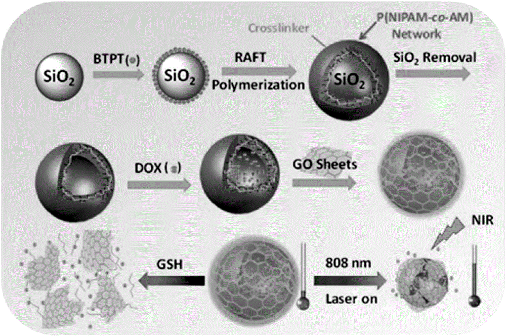 Temperature-sensitive polymer @ graphene oxide capsule drug carrier as well as preparation method and application thereof