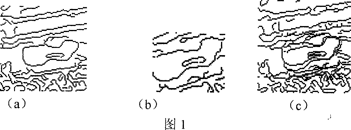 Scene matching method for raising navigation precision and simulating combined navigation system