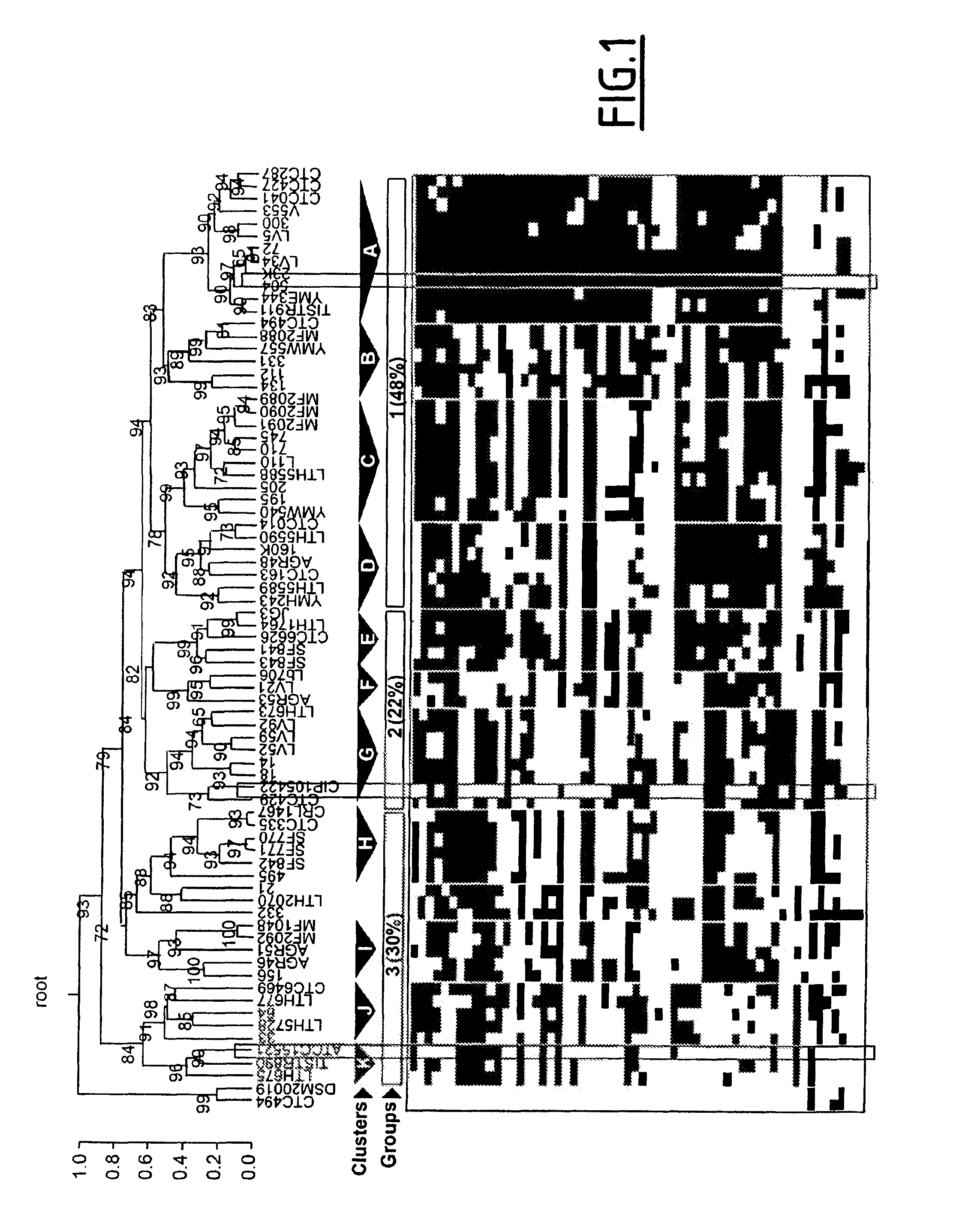 Combination of marker genes for characterizing a Lactobacillus sakei strain