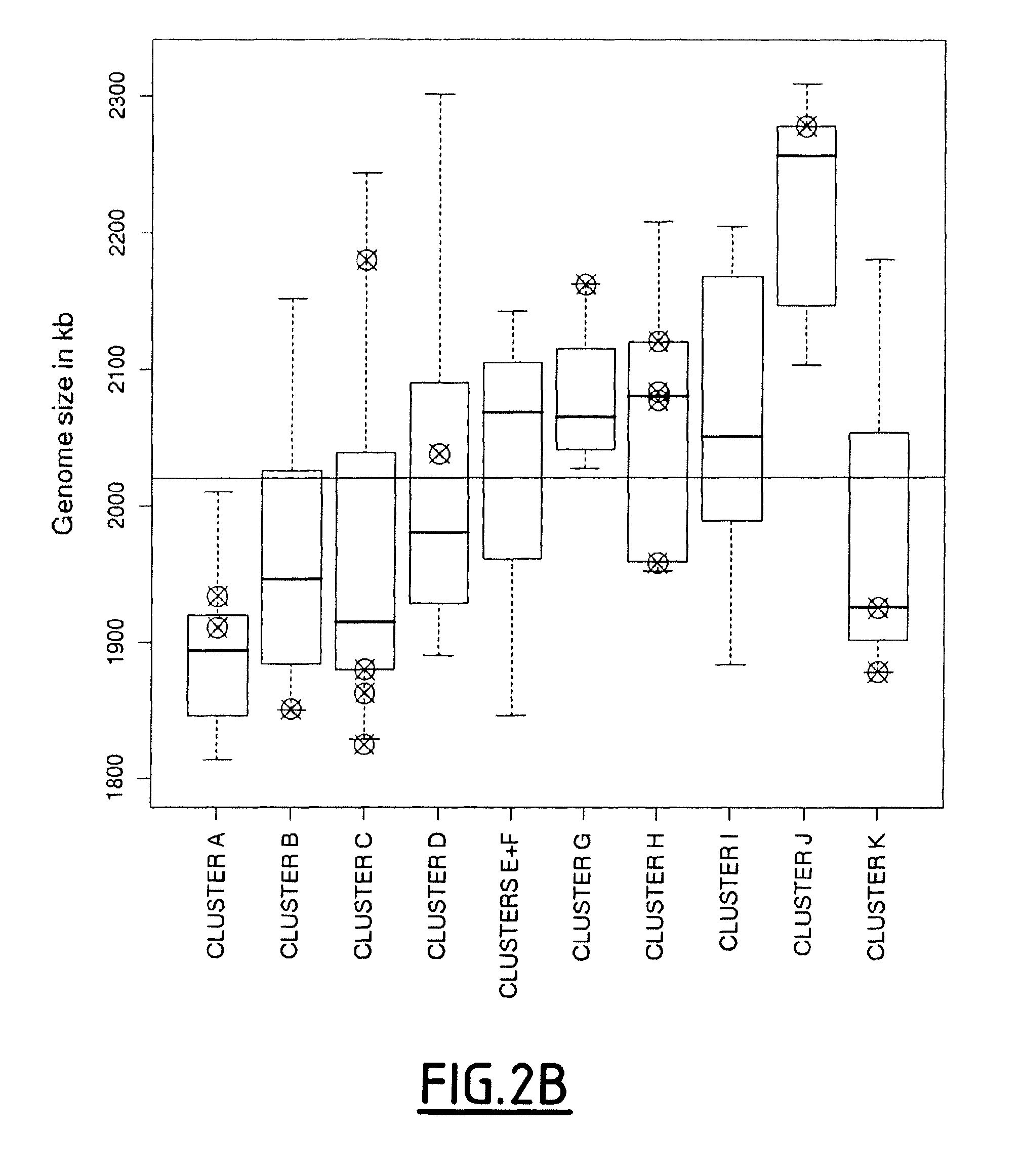 Combination of marker genes for characterizing a Lactobacillus sakei strain