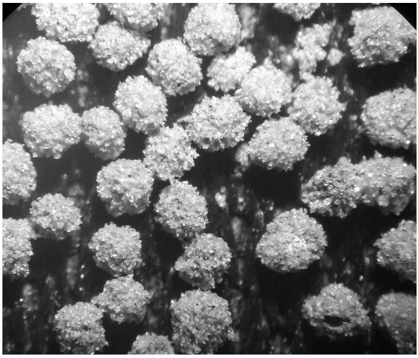 Diamond micro-powder aggregate preparation method using magnesia as binder