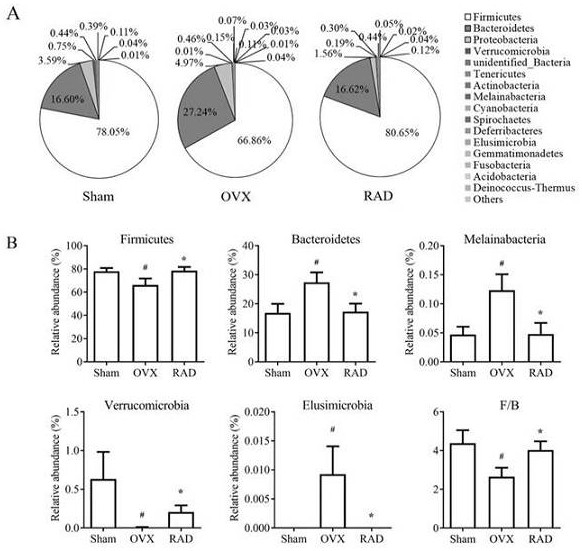 Application of radix angelicae dahuricae extract in aspect of regulating climacteric dyslipidemia