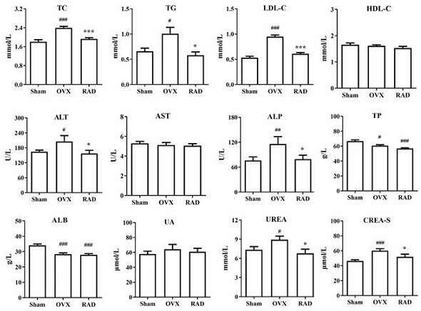 Application of radix angelicae dahuricae extract in aspect of regulating climacteric dyslipidemia