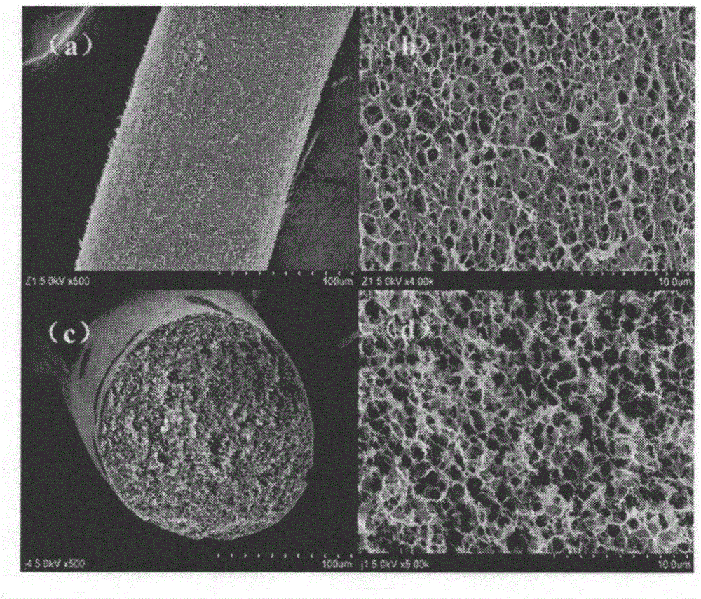 Continuous cellulose aerogel fiber and preparation method thereof