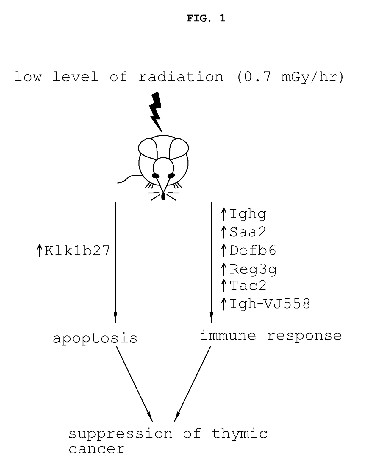 Method for detecting genes sensitive to low-level ionizing radiation, and gene detected by the method