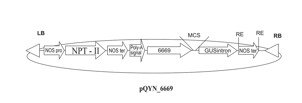 Isolated polynucleotides and polypeptides, and methods of using same for increasing plant yield and/or agricultural characteristics