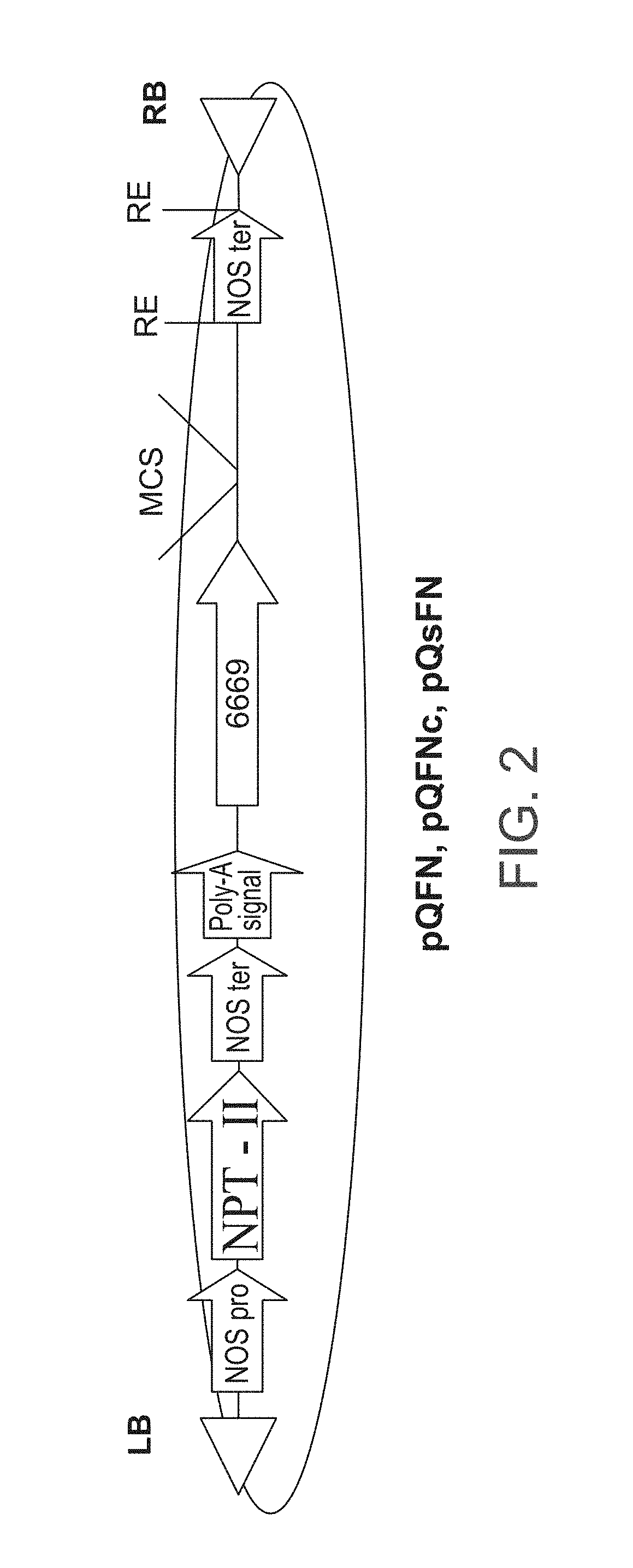 Isolated polynucleotides and polypeptides, and methods of using same for increasing plant yield and/or agricultural characteristics