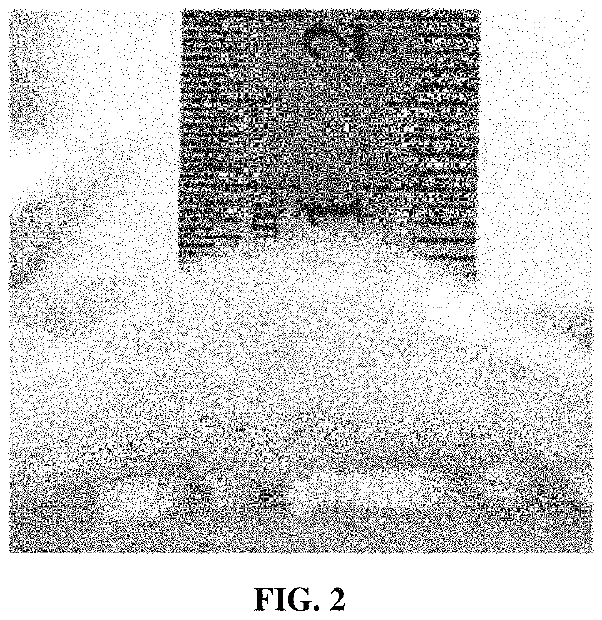 Liquid composition including alginic acid or pharmaceutically acceptable salt thereof and colloidal polysaccharide