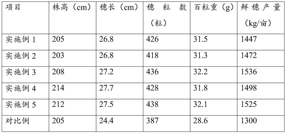 Compound disease-resistant microbial fertilizer special for corn and preparation method thereof