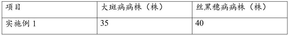 Compound disease-resistant microbial fertilizer special for corn and preparation method thereof