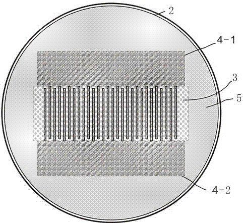 Electrode structure manufacturing method for suppressing reversal domain lateral growth in ferroelectric crystal material polarization process