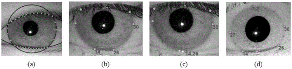 Method and device for positioning iris image