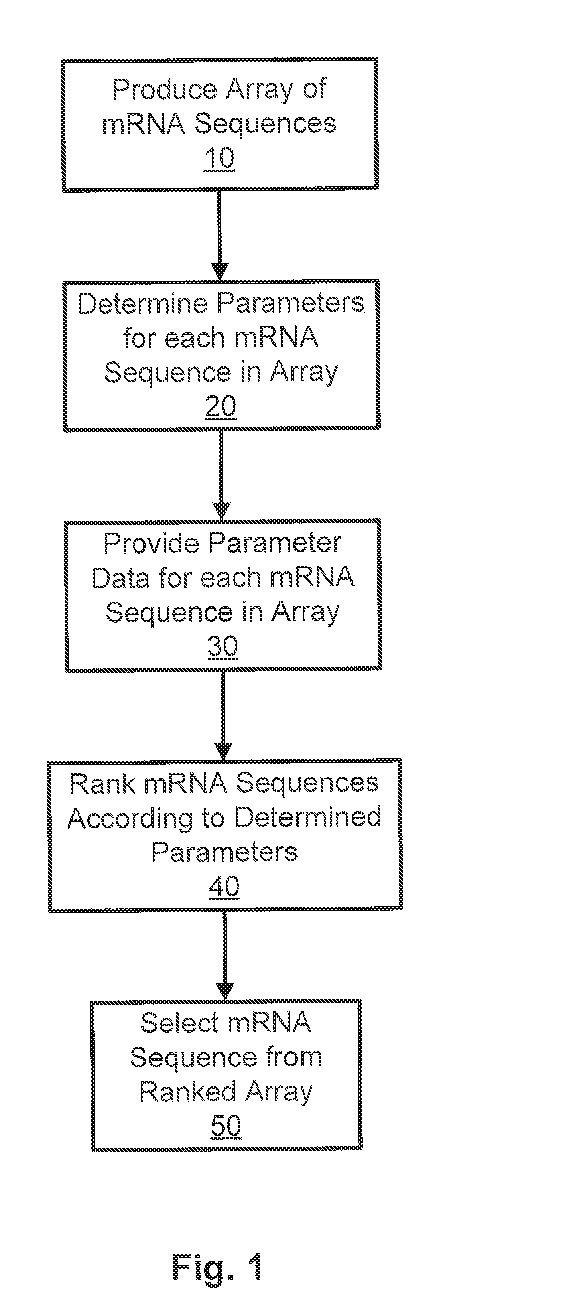 Compositions and methods for protein production