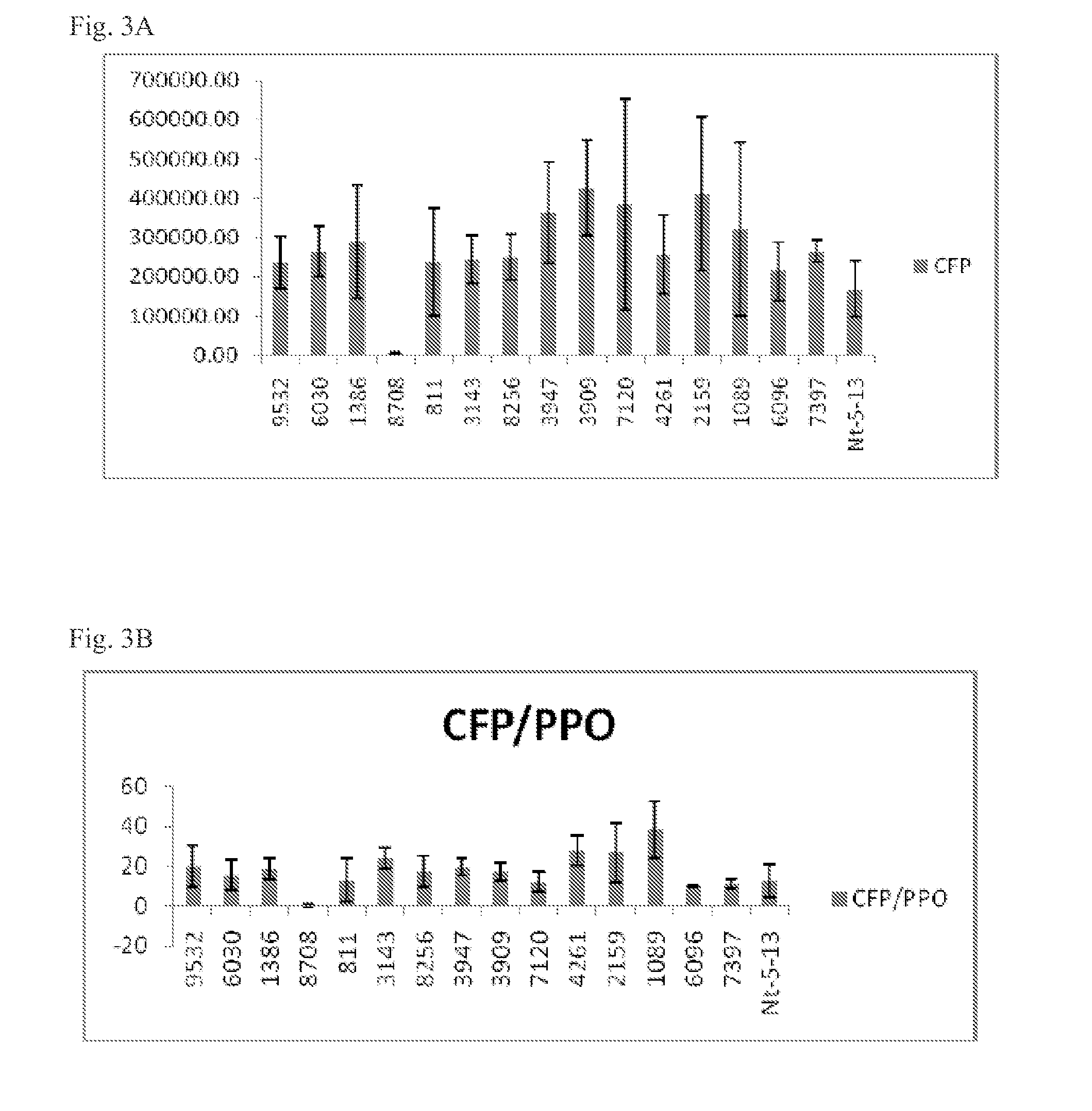 Compositions and methods for protein production