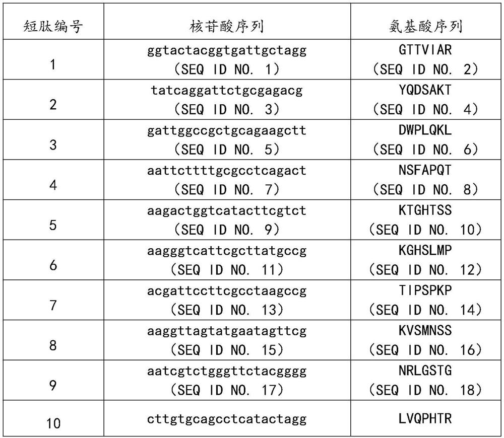 Keratinocyte growth factor active polypeptide and application thereof