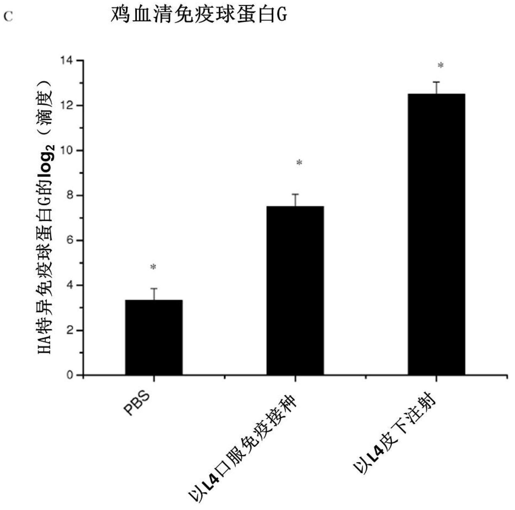 Immunoprotection by oral administration of recombinant lactococcus lactis mini-capsules