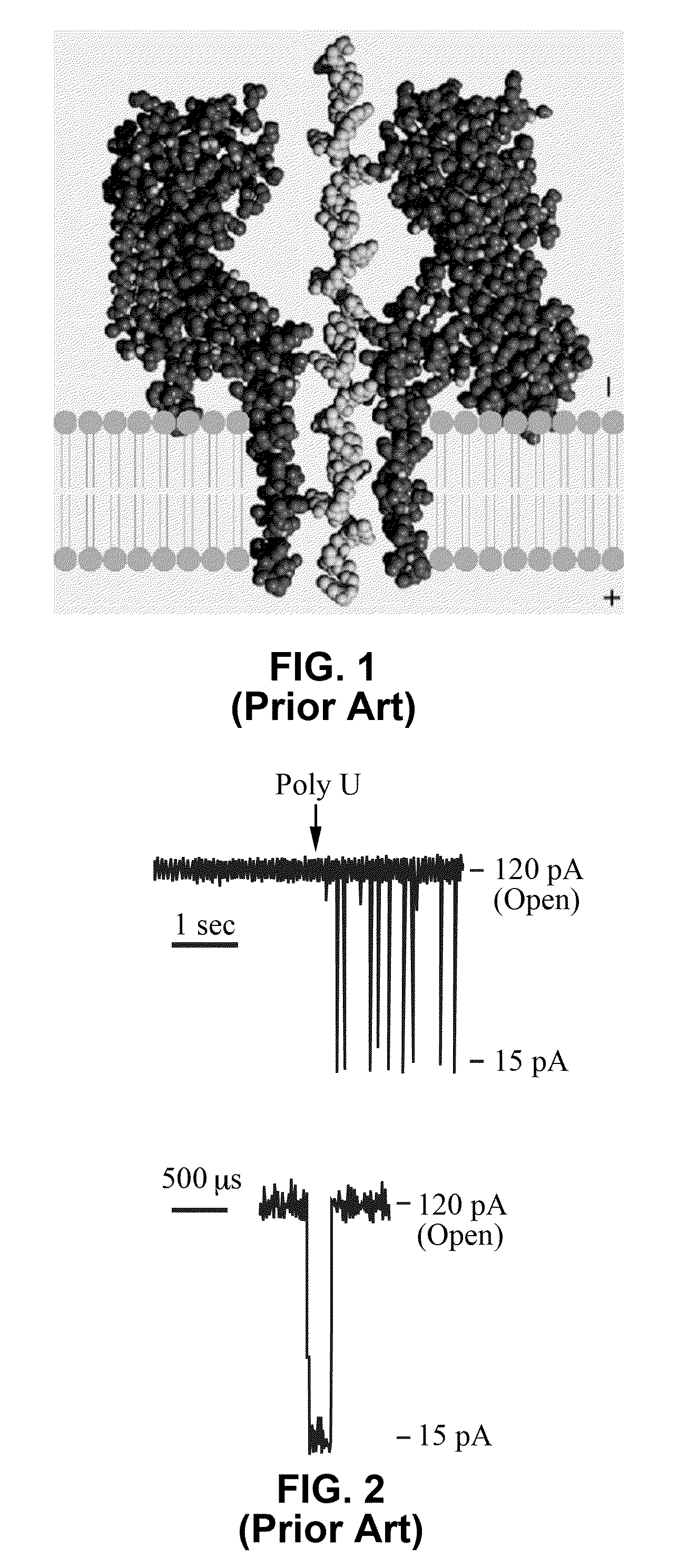 Fluidic nanotubes and devices