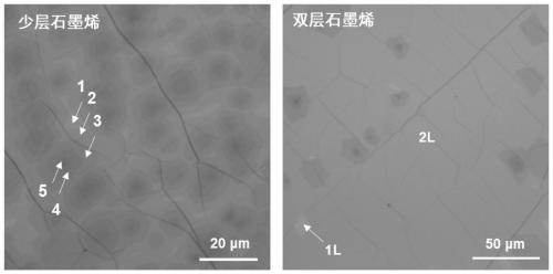 Method for preparing suspended graphene support film of Janus structure