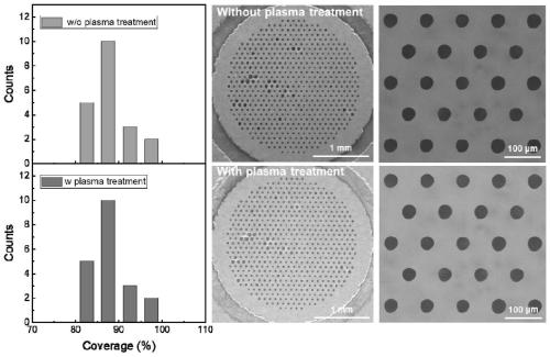 Method for preparing suspended graphene support film of Janus structure