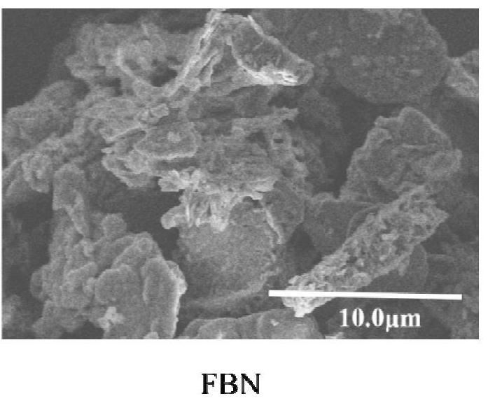 A kind of preparation method of plasma modified hexagonal boron nitride/resin composite material