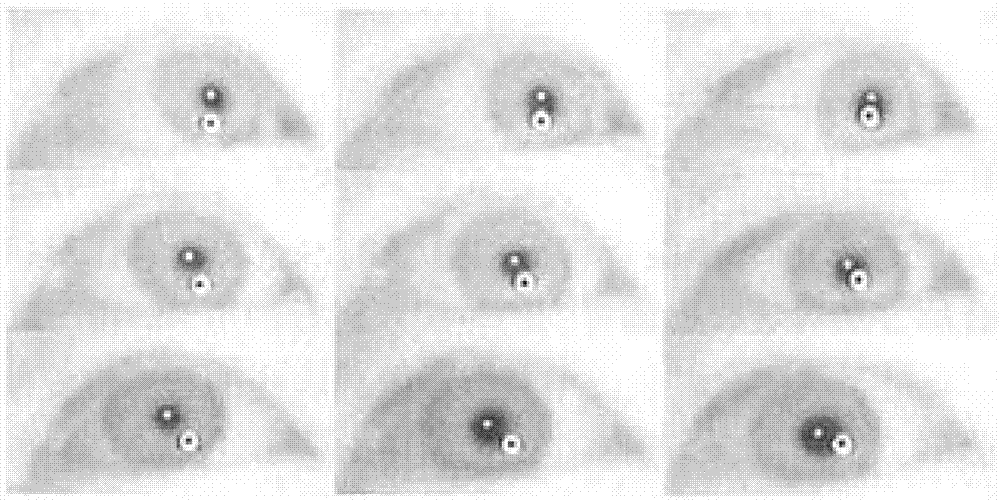 Sight tracking and fatigue early warning method