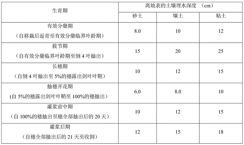 Rice water-saving irrigation method