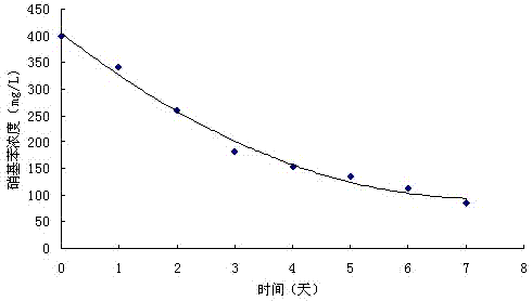 Recombinant plasmid for degrading nitrobenzene, gene engineering bacteria and preparation method thereof