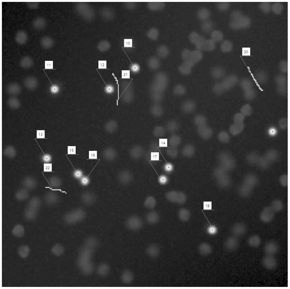 An Automatic Cell Counting Method Based on Dynamic Learning for Microscope