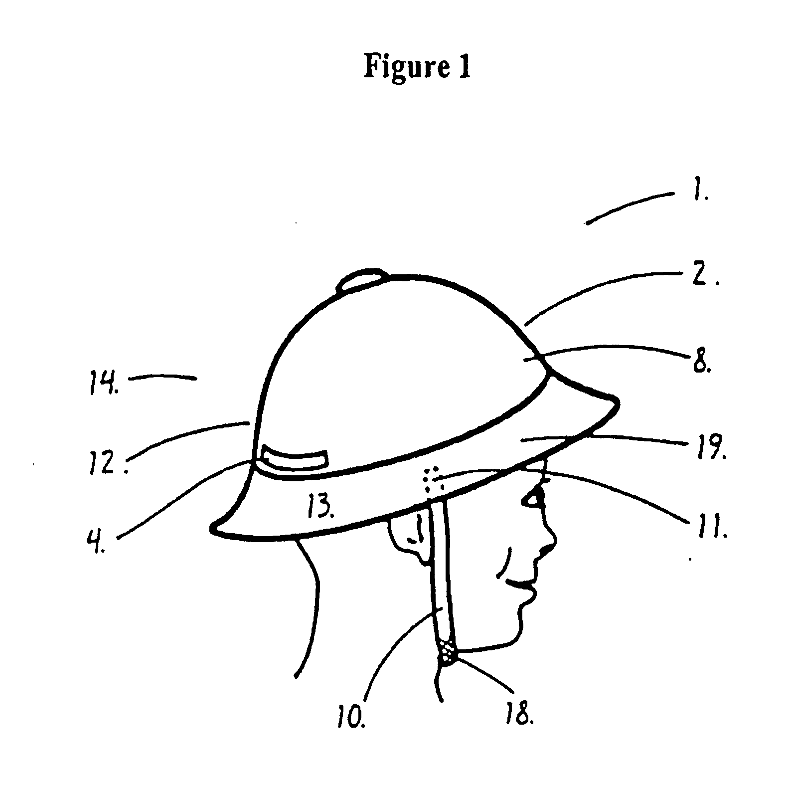 Head protector for infants, small children, senior citizens, adults or physically disabled individuals