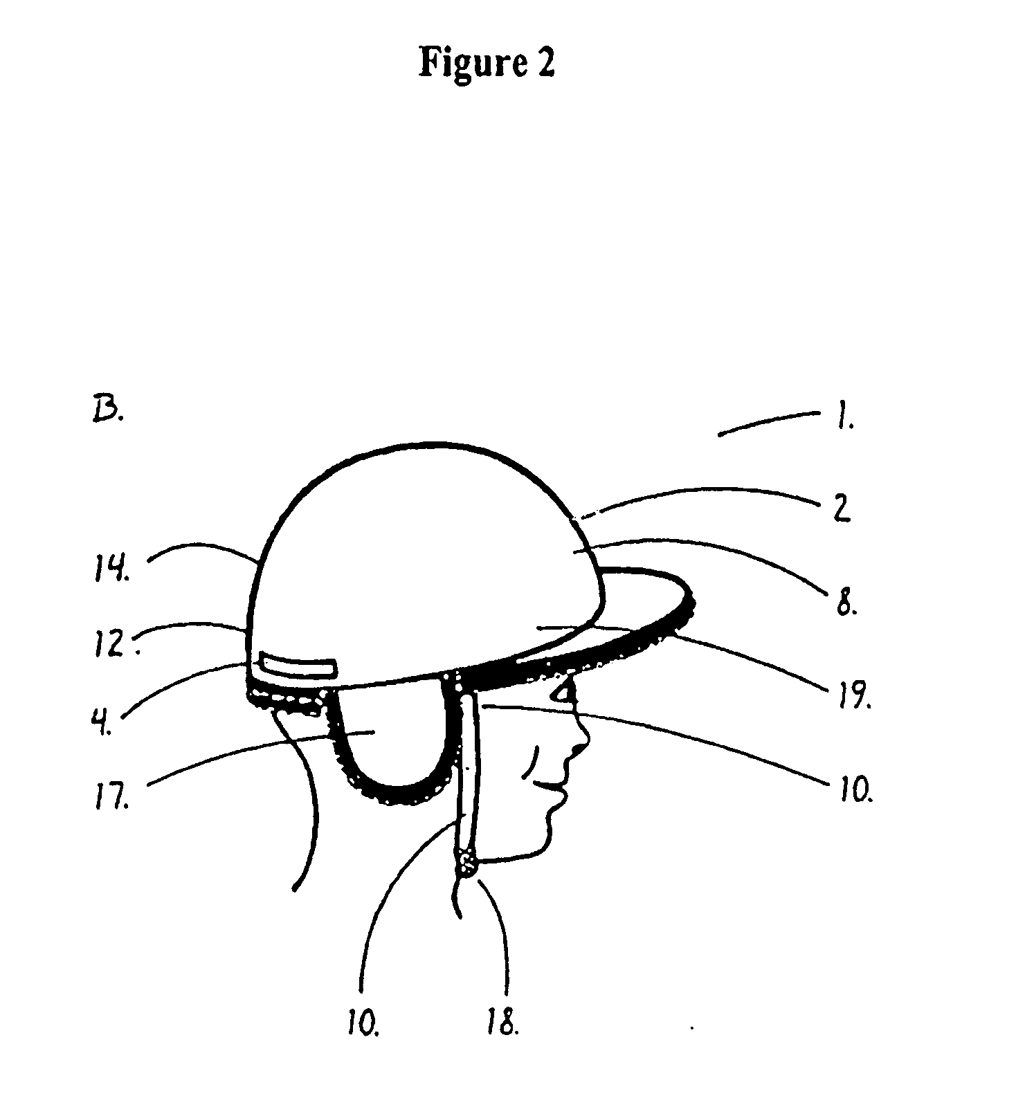 Head protector for infants, small children, senior citizens, adults or physically disabled individuals